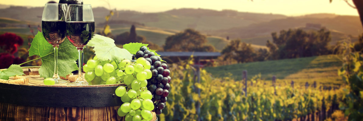 Eagles Nest Winery scheduled to open in Fall 2019