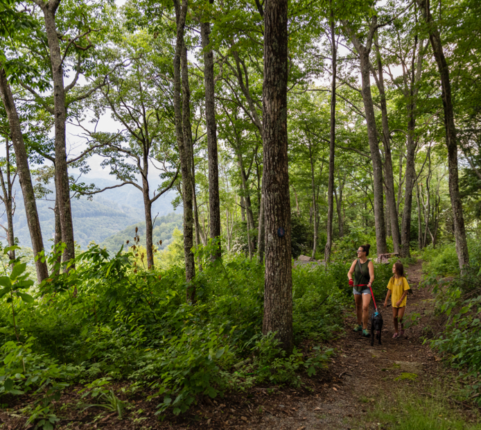 Hiking Trails