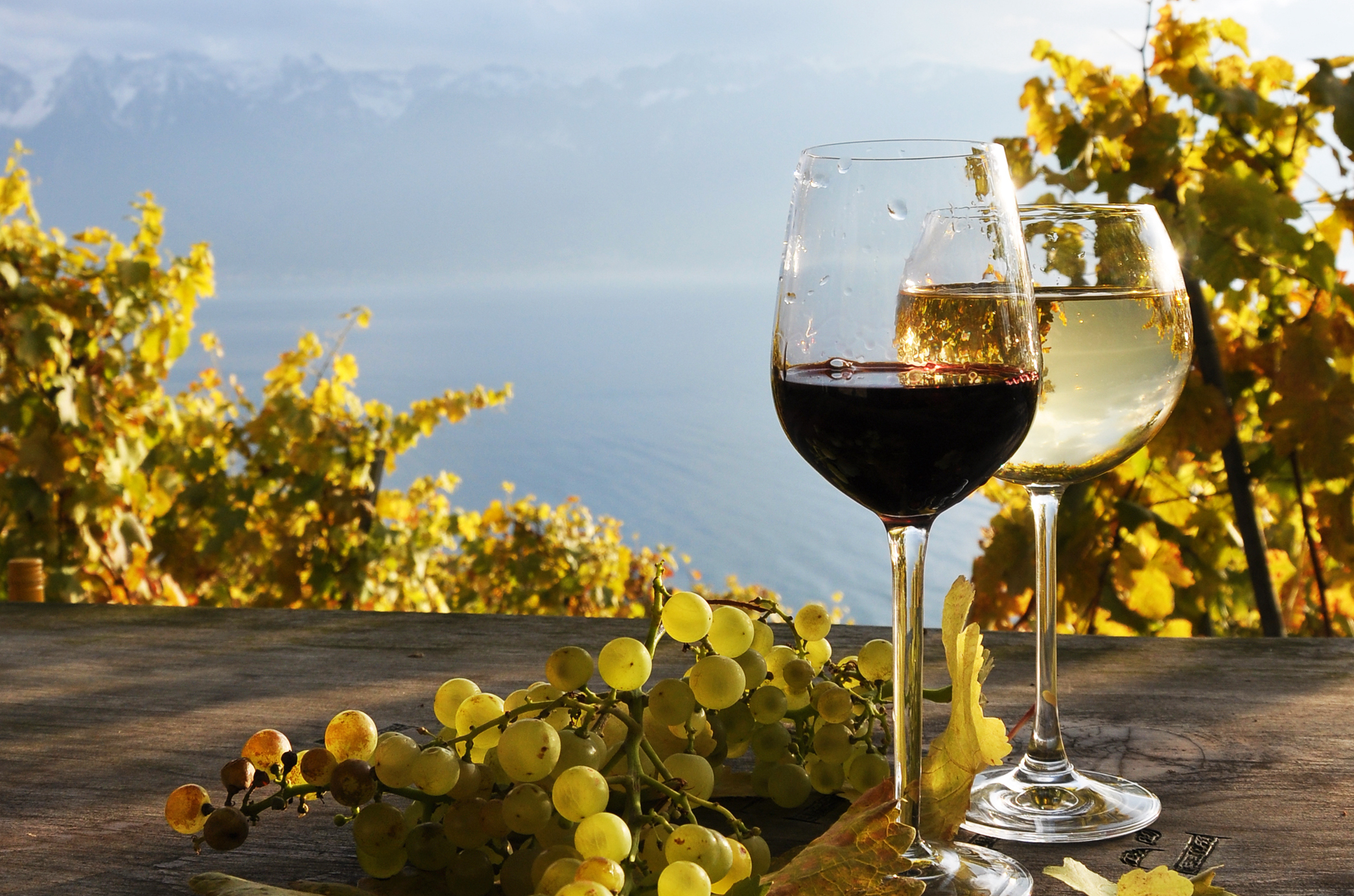 From Banner Elk to Boone: 10 Place to Wine + Dine This Winter