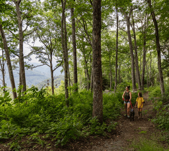 What to Pack for the Ultimate Eagles Nest Getaway
