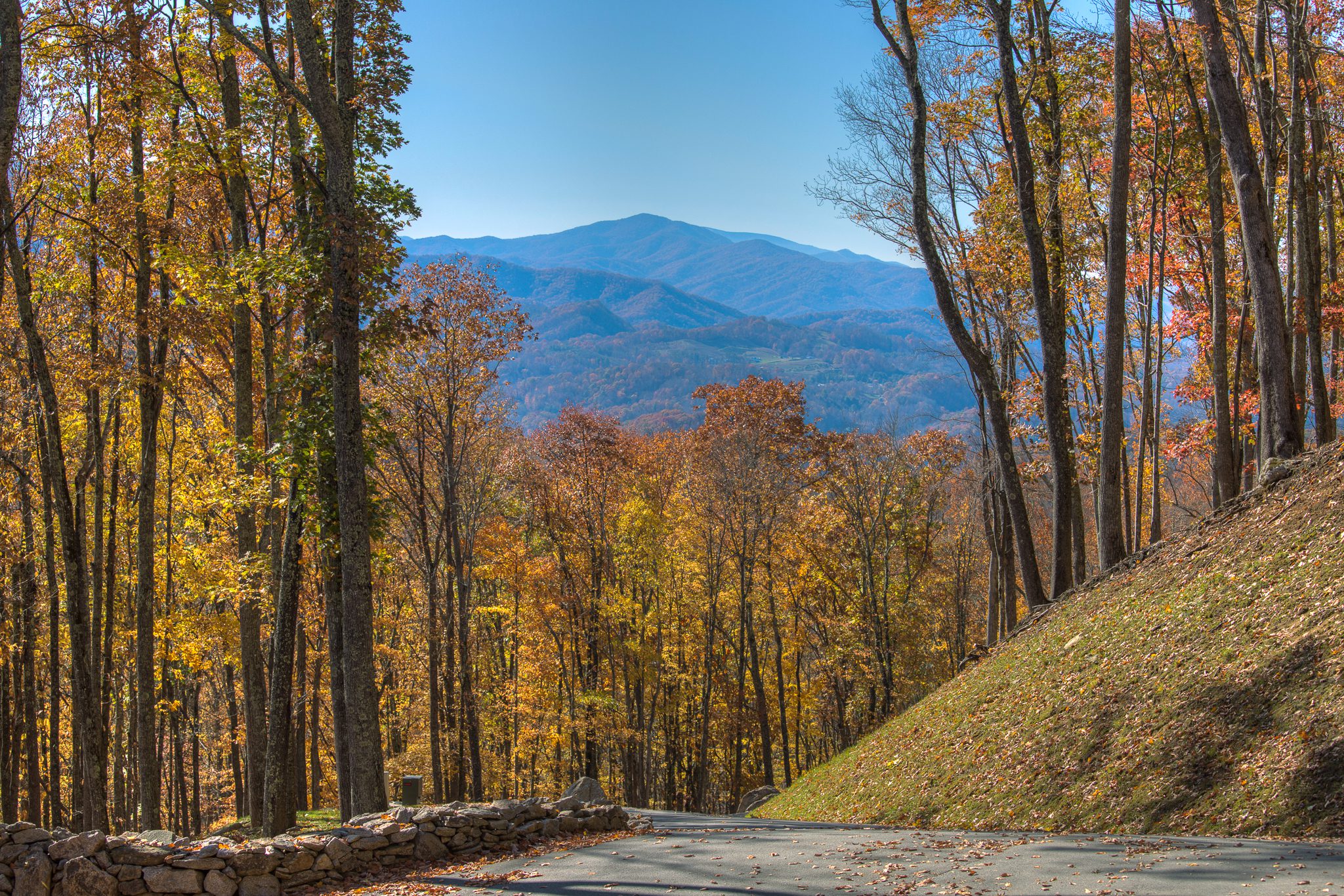 Halloween in High Country: